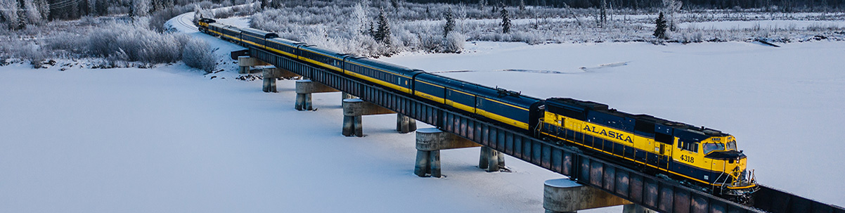 Winter Train